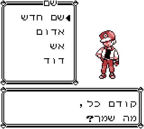 Pokemon Translation screenshot